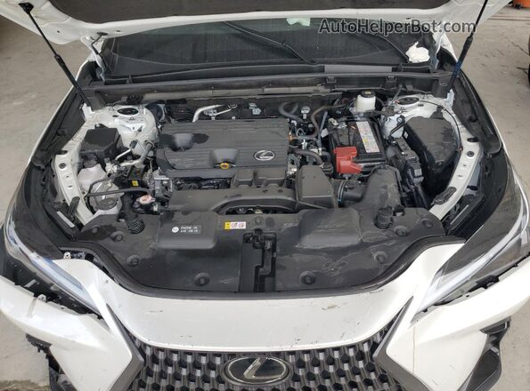JTJGDCAZ4S2015753 2025 LEXUS NX White 