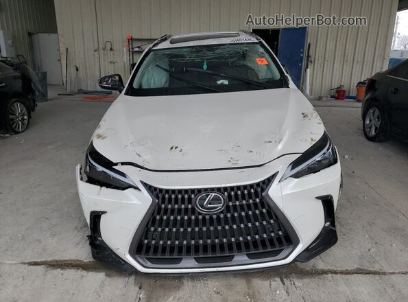 JTJGDCAZ4S2015753 2025 LEXUS NX White 
