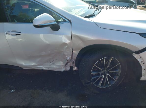 JTJGGCEZ9R5005925 2024 LEXUS NX 350 White Vista frontal