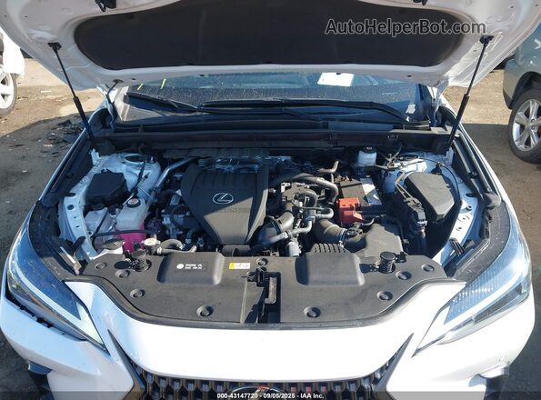 JTJGGCEZ9R5005925 2024 LEXUS NX 350 White Vista trasera