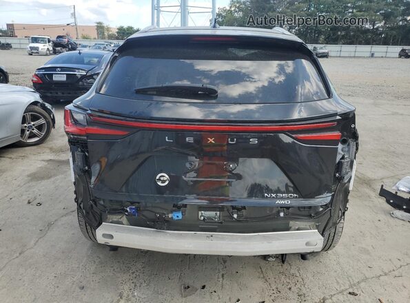 JTJGKCEZ1R5018263 2024 LEXUS NX Black 