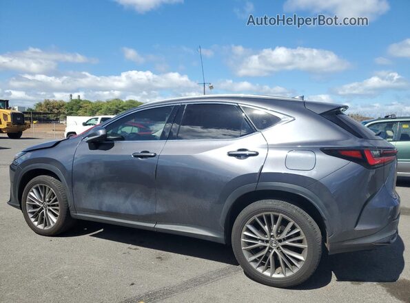 JTJHGCEZ2N2006401 2022 LEXUS NX Charcoal Հետևի ձախ