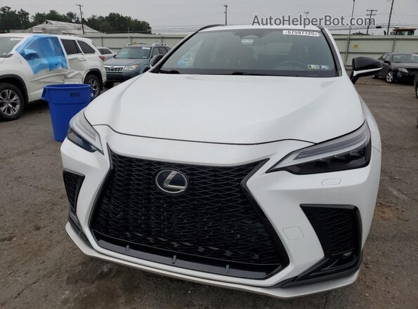 JTJKGCEZ6N5003053 2022 LEXUS NX White 