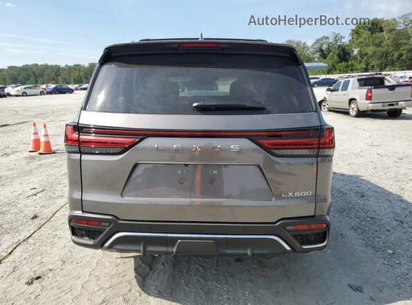 JTJMB7CX0R4043706 2024 LEXUS LX Gray უკანა ხედი