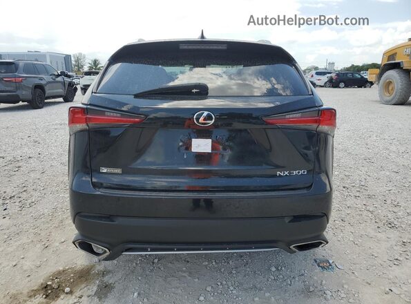 JTJSARBZ6L2176689 2020 LEXUS NX Black Вид ззаду