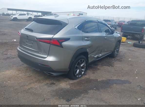 JTJSARBZ7M2203562 2021 LEXUS NX 300 Silver Задня права чверть