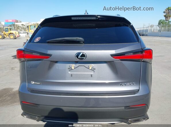 JTJSARBZXL2161435 2020 LEXUS NX 300 Gray 