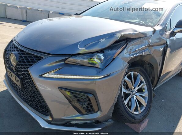 JTJSARBZXL2161435 2020 LEXUS NX 300 Gray Front view