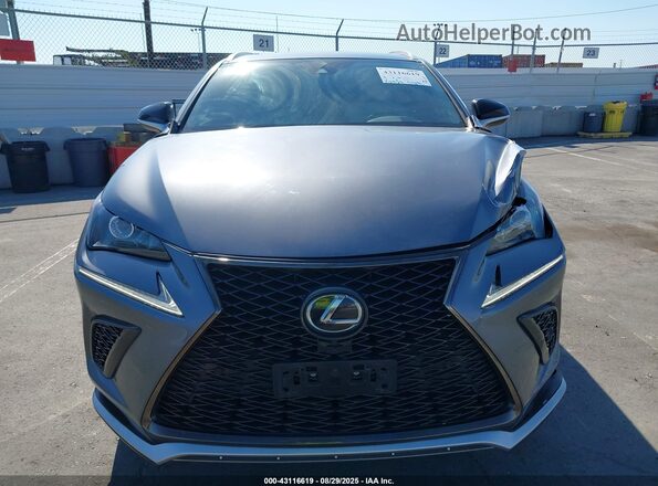 JTJSARBZXL2161435 2020 LEXUS NX 300 Gray Instrument cluster view