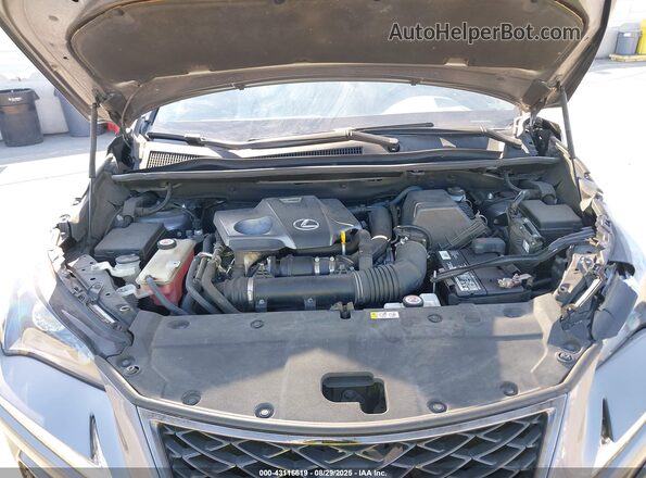 JTJSARBZXL2161435 2020 LEXUS NX 300 Gray Rear view