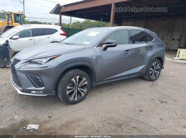 JTJSARDZ1M2246050 2021 LEXUS NX Pewter Передня ліва чверть