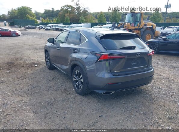 JTJSARDZ1M2246050 2021 LEXUS NX Pewter Задня ліва чверть