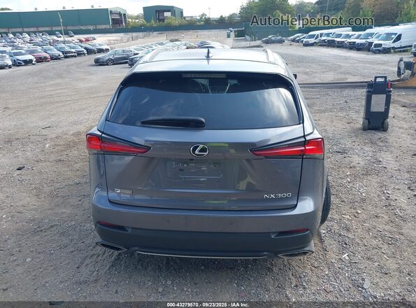 JTJSARDZ1M2246050 2021 LEXUS NX Pewter 