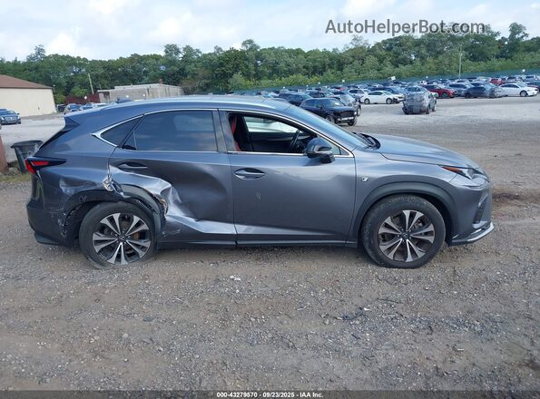 JTJSARDZ1M2246050 2021 LEXUS NX Pewter Вид задньої частини салону