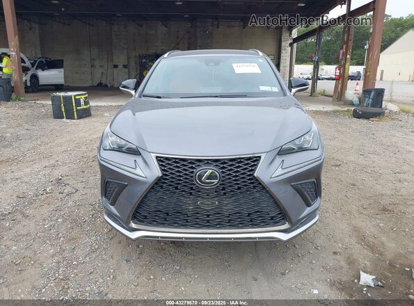 JTJSARDZ1M2246050 2021 LEXUS NX Pewter Вид щитка приладів