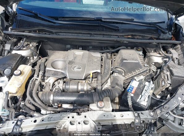 JTJSARDZ3L2228440 2020 LEXUS NX 300 Gray 