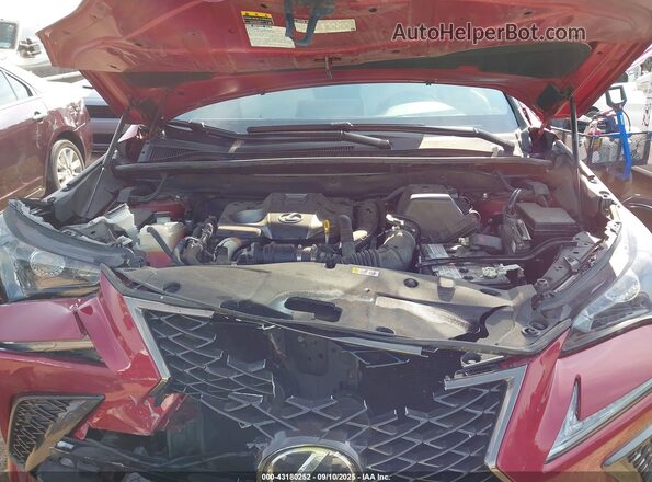 JTJSARDZ3M2251282 2021 LEXUS NX Red Vista trasera