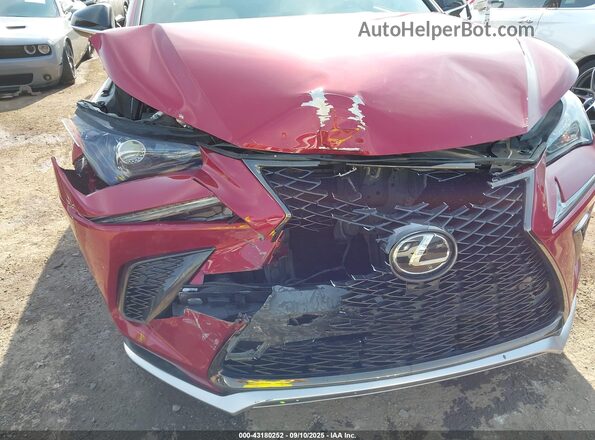 JTJSARDZ3M2251282 2021 LEXUS NX Red Vista frontal