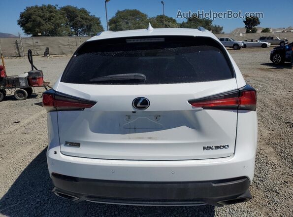 JTJYARBZ1J2090679 2018 LEXUS NX Белый 