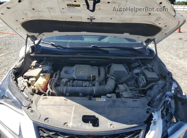 JTJYARBZ1J2090679 2018 LEXUS NX Белый 