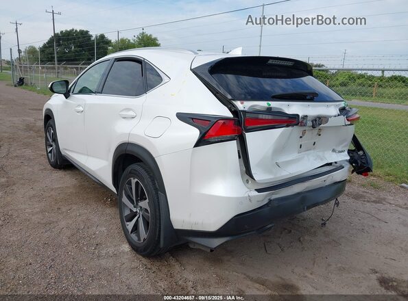 JTJYARBZ6K2126299 2019 LEXUS NX 300 White Задня ліва чверть