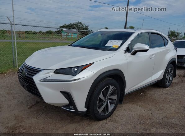 JTJYARBZ6K2126299 2019 LEXUS NX 300 White Передня ліва чверть