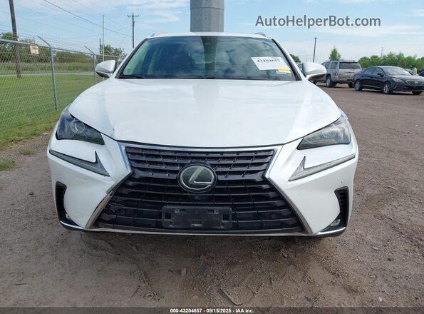 JTJYARBZ6K2126299 2019 LEXUS NX 300 White Вид щитка приладів