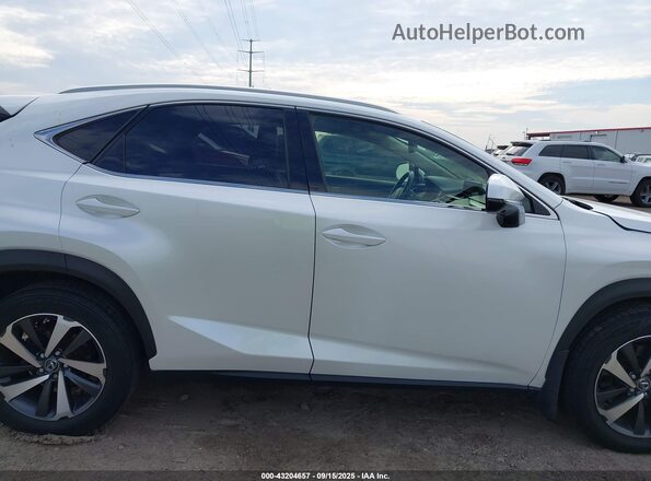 JTJYARBZ6K2126299 2019 LEXUS NX 300 White Вид задньої частини салону