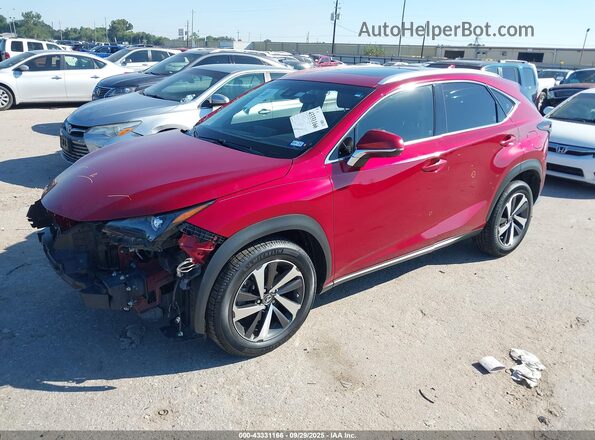JTJYARBZ9K2124692 2019 LEXUS NX 300 Red Առջևի ձախ երեք քառորդ տեսարան