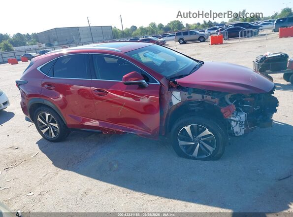 JTJYARBZ9K2124692 2019 LEXUS NX 300 Red Սալոնի 360 աստիճան տեսք
