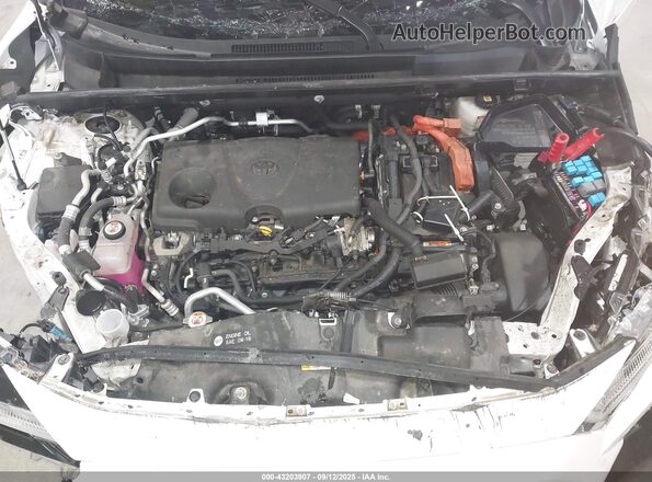 JTMAB3FV8PD116195 2023 TOYOTA RAV4 PRIME Белый Вид сзади