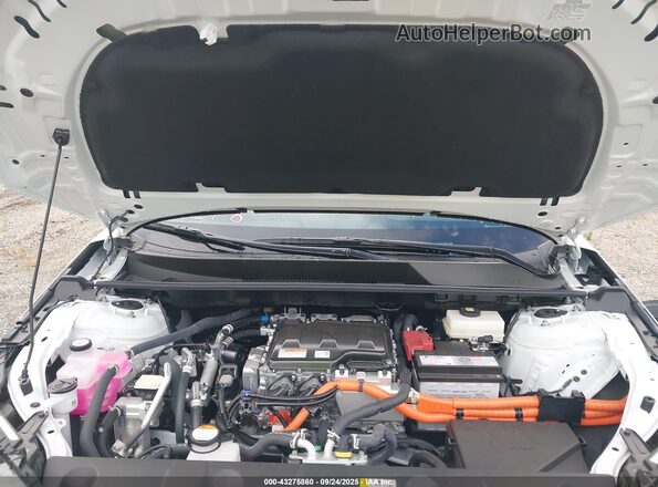 JTMABABA9SA099750 2025 SUBARU SOLTERRA Белый Вид сзади