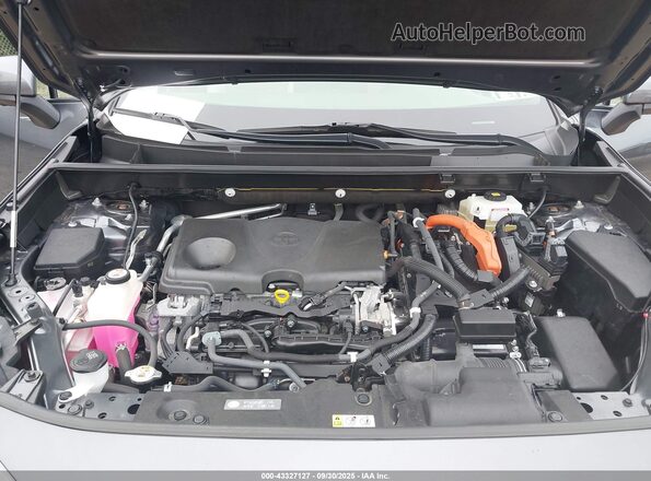JTMDWRFV8LD537106 2020 TOYOTA LIMITED Серый Вид сзади