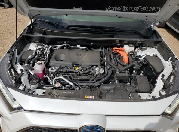JTMEB3FV5RD231633 2024 TOYOTA RAV4 White 