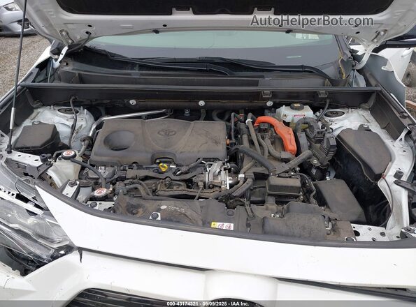 JTMEWRFV5LJ048118 2020 TOYOTA RAV4 White Rear view