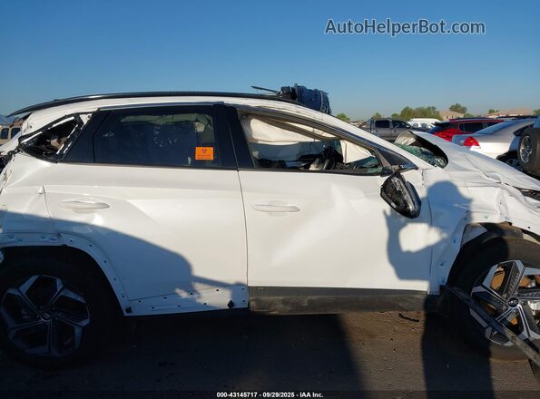 KM8JECD15RU238504 2024 HYUNDAI TUCSON HYBRID White 