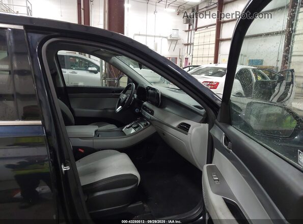 KM8R1DHE7LU029841 2020 HYUNDAI PALISADE Blue Widok wnętrza z przodu