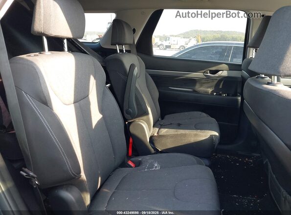 KM8R24HE2LU044129 2020 HYUNDAI PALISADE Blue Widok naklejki z numerem VIN
