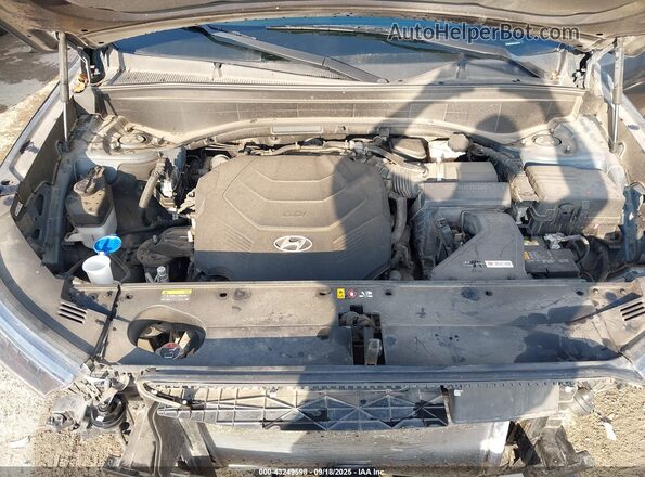 KM8R24HE2LU044129 2020 HYUNDAI PALISADE Blue Widok z tyłu