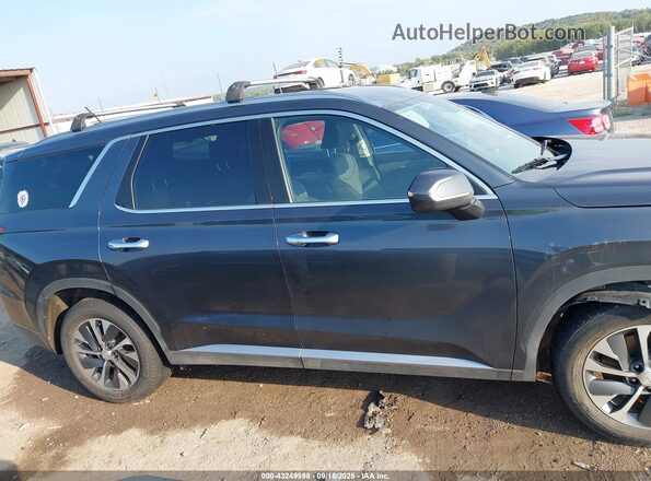 KM8R24HE2LU044129 2020 HYUNDAI PALISADE Blue Widok wnętrza 360 stopni