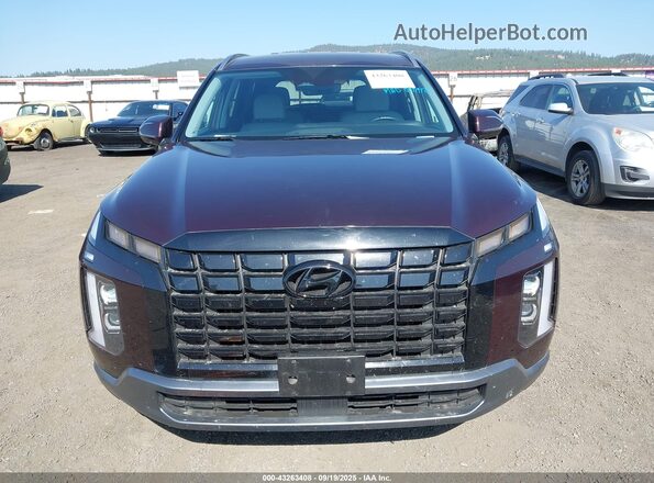 KM8R2DGE4RU787983 2024 HYUNDAI PALISADE Purple 