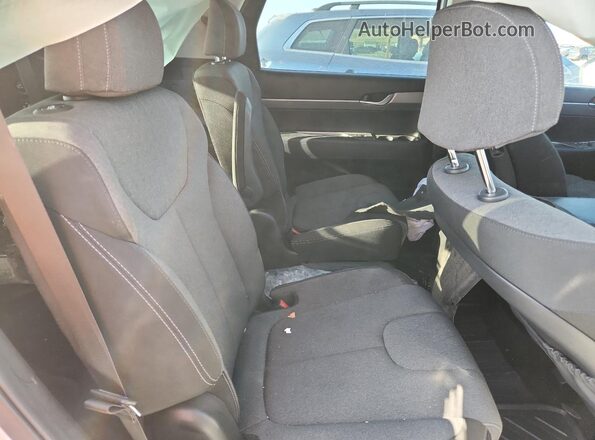 KM8R2DHEXLU044881 2020 HYUNDAI PALISADE White Вид задньої частини салону