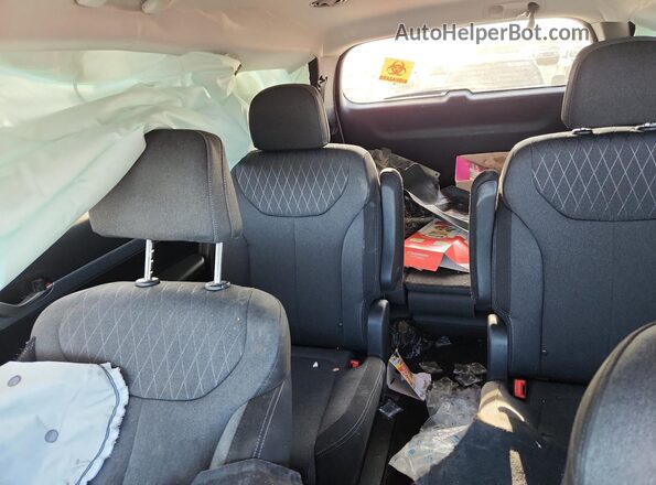KM8R2DHEXLU044881 2020 HYUNDAI PALISADE White Вид задніх сидінь