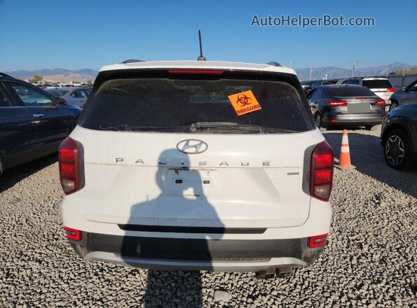 KM8R2DHEXLU044881 2020 HYUNDAI PALISADE White Вид ззаду