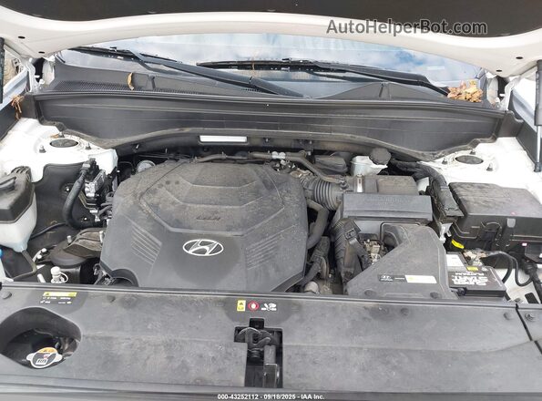 KM8R34HE1LU138001 2020 HYUNDAI PALISADE White Widok z tyłu