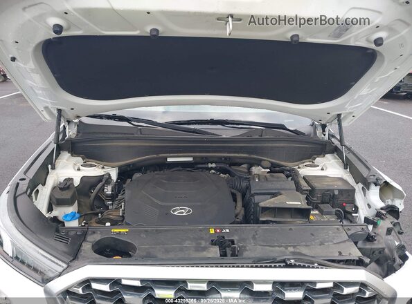 KM8R34HE4LU079493 2020 HYUNDAI PALISADE White Widok z tyłu