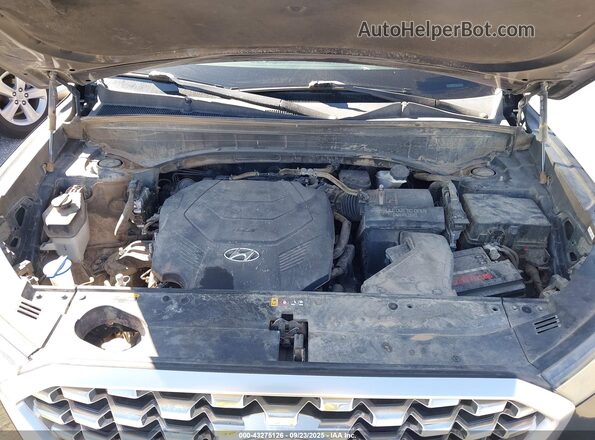 KM8R34HE6LU078622 2020 HYUNDAI PALISADE Blue Вид ззаду