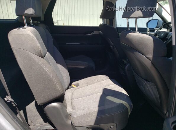 KM8R3DHE9LU171196 2020 HYUNDAI PALISADE Silver Rear interior view