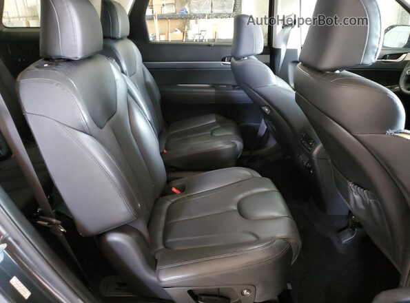 KM8R44HE4LU060584 2020 HYUNDAI PALISADE Charcoal Widok wnętrza z tyłu