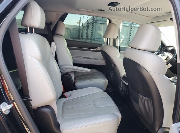 KM8R4DHE1LU080436 2020 HYUNDAI PALISADE Black უკანა სალონის ხედი